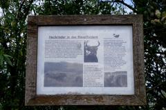 Information board in Rieselfelder Münster bird sanctuary