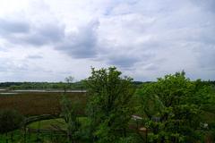 view from the observation tower at Rieselfelder Münster bird sanctuary