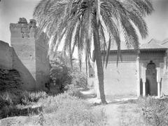 Saadian tombs in the garden