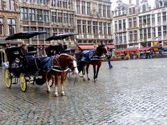 Horse-drawn carriages at Grand Place in Brussels