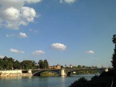 Puente de San Telmo in Seville