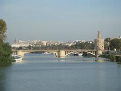 Puente de San Telmo in Seville at sunset