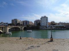 Aerial view of Seville, Spain with the Guadalquivir River flowing through the city