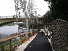 Pantanal and pier with the Rio Grande Restaurant terrace