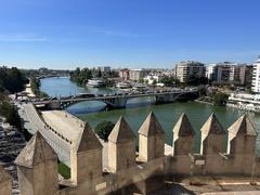 Pont San Telmo, Seville