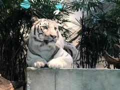 White tiger at NIFREL