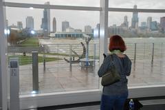 Chicago skyline with Shedd Aquarium and Lake Michigan