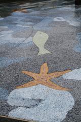 Pathway in front of Shedd Aquarium in Chicago