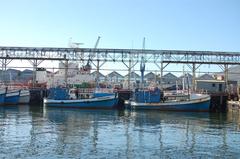 Robbens Island prison ships at the Victoria and Alfred Waterfront