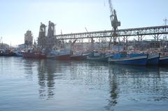 Cargo loading facilities at Cape Town