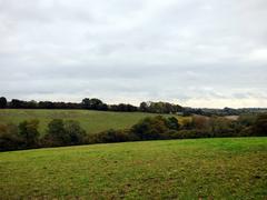 autumn landscape near Bellingdon, Chartridge in Buckinghamshire