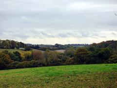 Autumn landscape near Bellingdon, Chartridge, Buckinghamshire