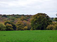 Autumn landscape near Bellingdon, Chartridge, Buckinghamshire