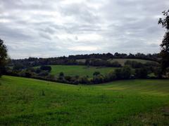 Autumn landscape near Asheridge, Chartridge, Buckinghamshire