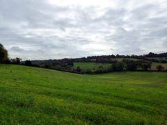 Autumn landscape near Asheridge, Chartridge, Buckinghamshire