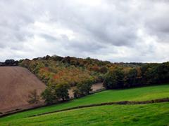 Autumn landscape near Chartridge, Buckinghamshire