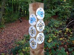 Confusing crossroads with multiple rights of way near Chartridge, Buckinghamshire