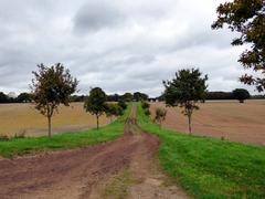 Landscape near St Leonards, Cholesbury-cum-St Leonards, Buckinghamshire