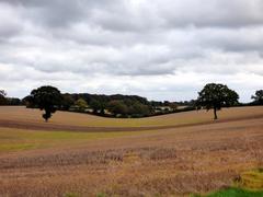 Landscape near St Leonards, Cholesbury-cum-St Leonards, Buckinghamshire