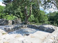 Ruine Weissenau observation platform