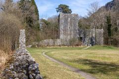 Ruine Weissenau am Thunersee