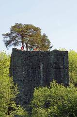 Ruine Weissenau Unterseen