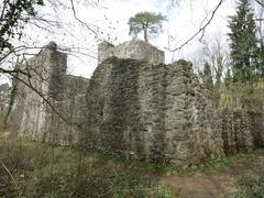 Ruine Weissenau in Unterseen, Switzerland