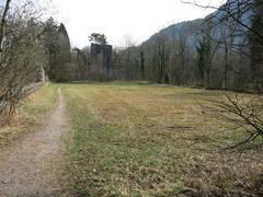 Ruine Weissenau in Unterseen, Switzerland