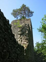 Aussichtsturm Ruine Weissenau