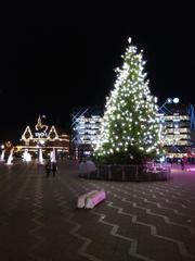 Christmas tree in Copenhagen