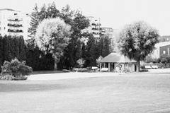 Marabou Park at night