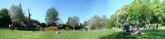 Marabou stork panoramic view