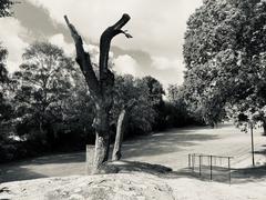 Marabouparken B Park in the dark