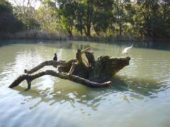 Birds at Cleland Wildlife Park in South Australia