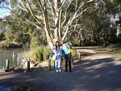 Cleland Wildlife Park South Australia panoramic view