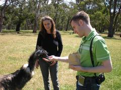 man hand feeding an Emu at Cleland Wildlife Park in Australia