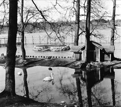 Waterfowl enclosure at Korkeasaari Zoo