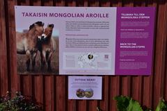 Helsinki Zoo Przewalski's horse signage