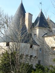 roofs of Dampierre-sur-Boutonne castle