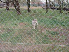 Zoo in Osijek