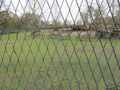 Zebras at Osijek Zoo