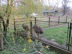 Zoo in Osijek