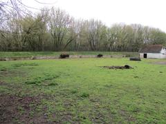 Zoological garden in Osijek