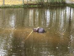 Aqua Zoo in Leeuwarden's Grote Wielen recreation area