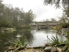 Aqua Zoo in Leeuwarden with water garden and wildlife