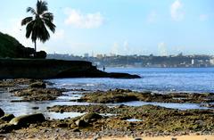 Ponta de Humaitá with Monte Serrat in the background