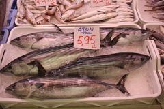 Bonito fish at the Castellón market