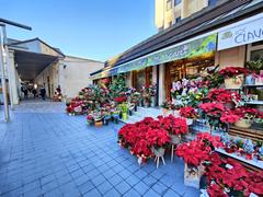 Florist shops in Santa Clara square, Castelló de la Plana