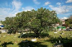 Cemetery in Kuching, Borneo