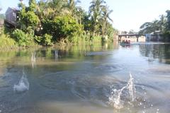 Bokashi balls dispersal in Naga river